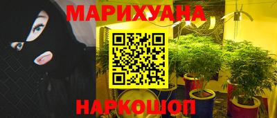 шишки Бузулук