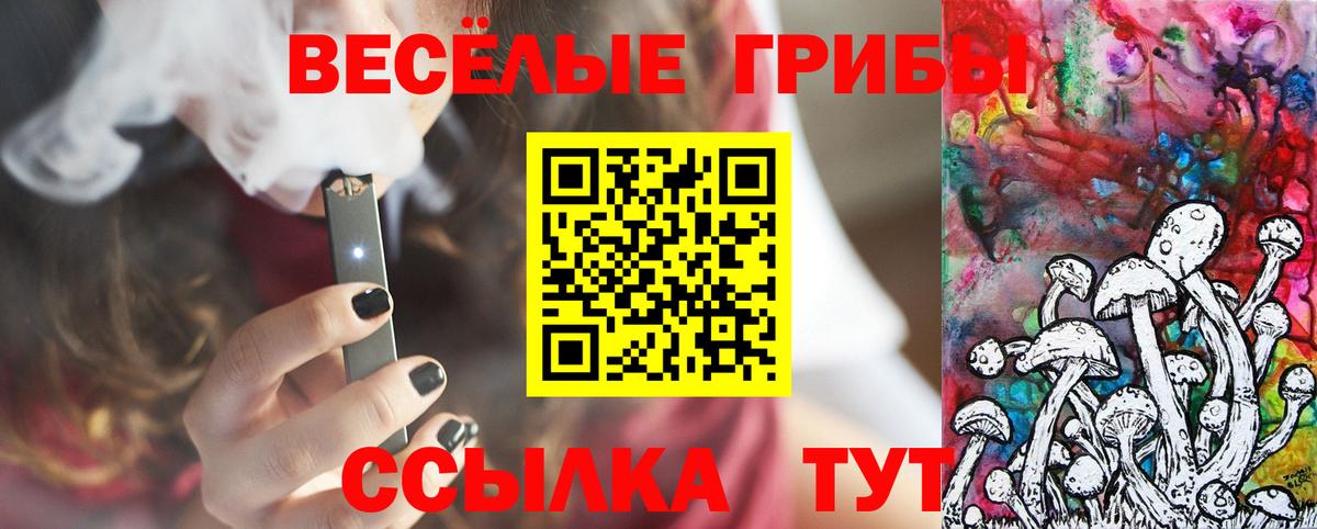Псилоцибиновые грибы мухоморы Саратов